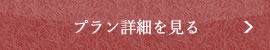 プラン詳細を見る
